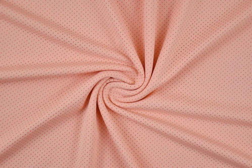 富民布料市場(chǎng)迎來新成員 濛運(yùn)針織